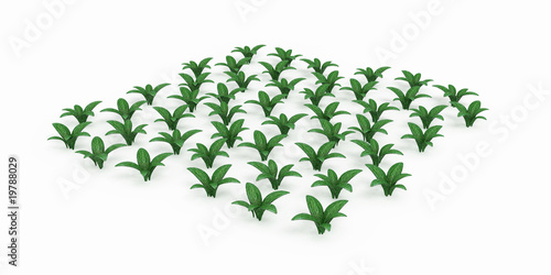 Wallpaper Mural Planted Torontodigital.ca