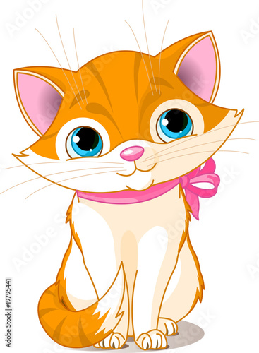 Very Cute cat