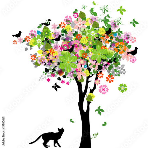 Flowers tree and cat #19800461