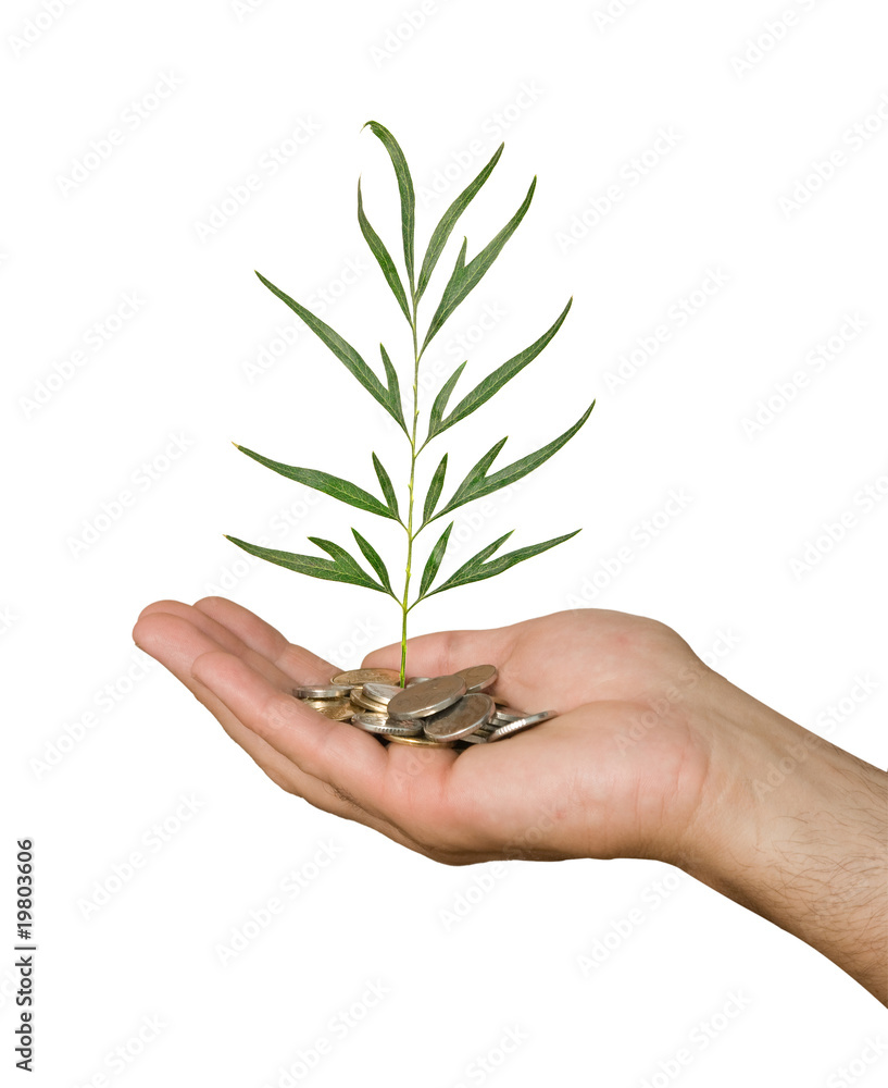 Palm with a tree growng from pile of coins Palm with a tree growng from pile of coins