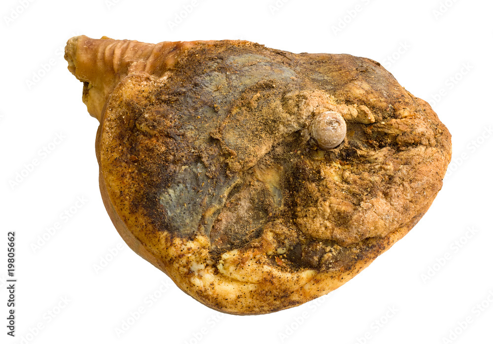 italian ham italian ham