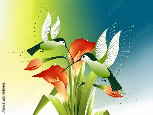 humming bird and flowers