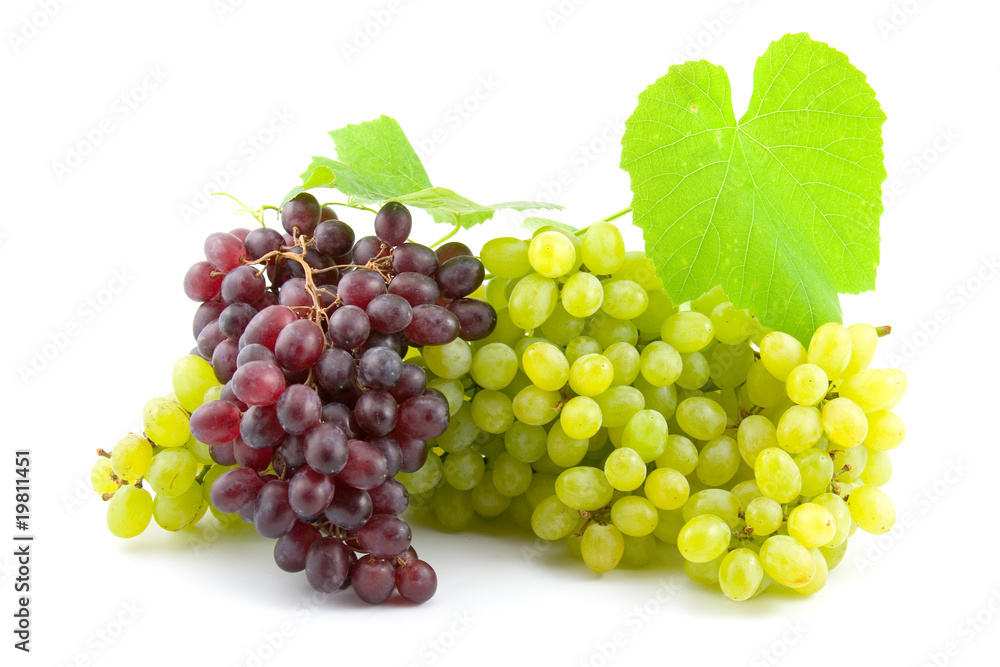 Fresh grapes Fresh grapes