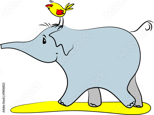 Baby elephant