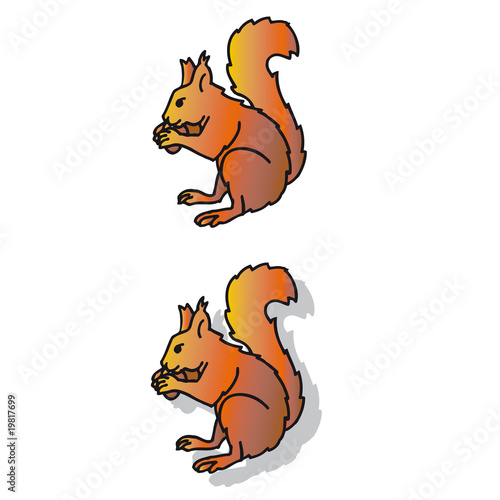 Ecureuil