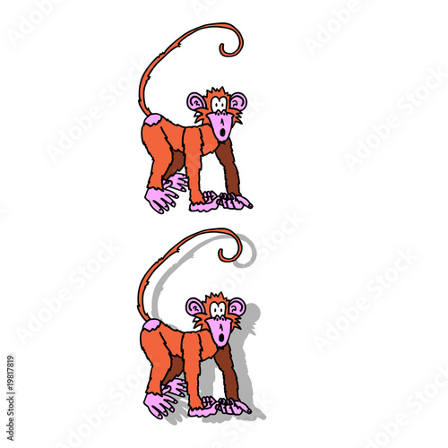 Singe