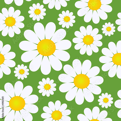 Seamless pattern with camomiles