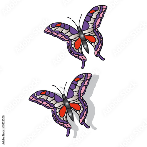 Papillon