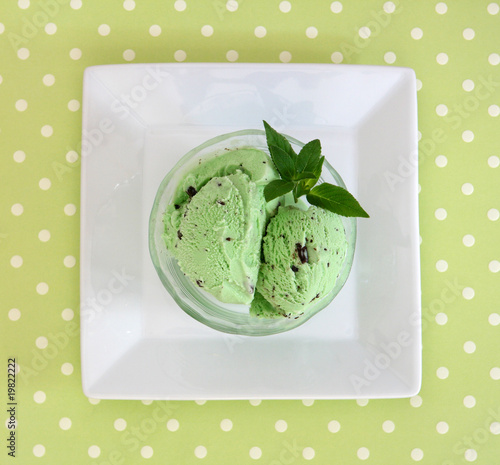Mint Chocolate Chip Ice Cream