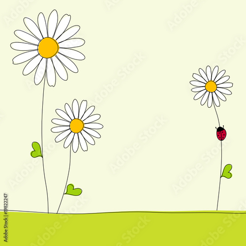 3 Blümchen & Marienkäfer