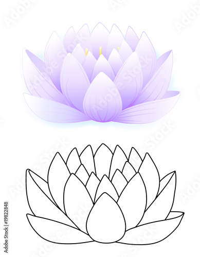 Blue lotus