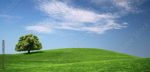 green hills