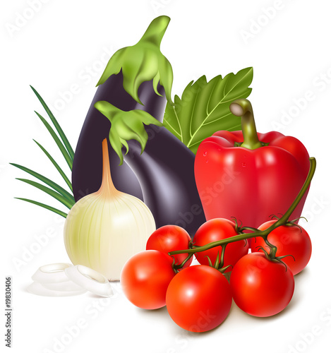 Photorealistic vector. Colorful fresh group of vegetables.