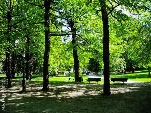 City Park in Stockholm, Sweden