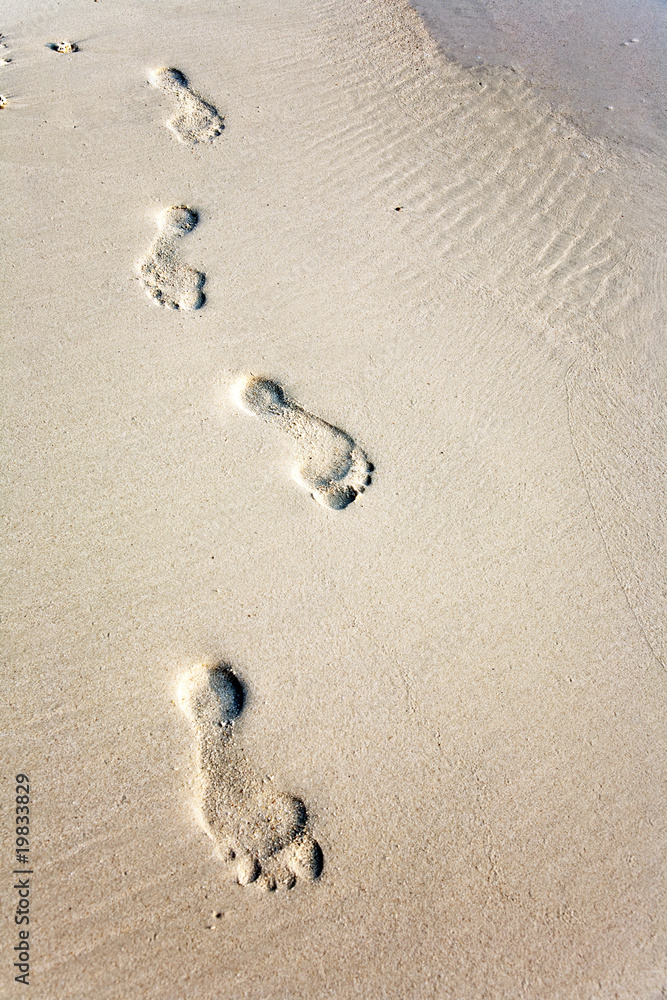 human adult footprint in the fine sand at the beach human adult footprint in the fine sand at the beach