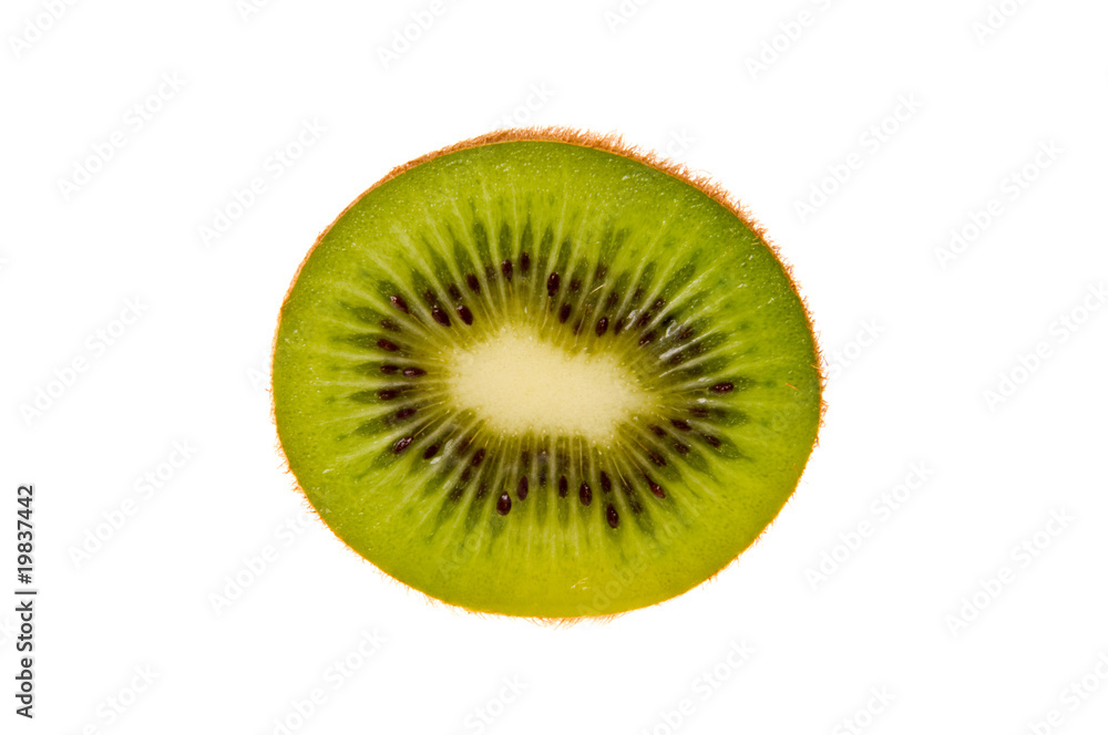 kiwi isolated on white background kiwi isolated on white background