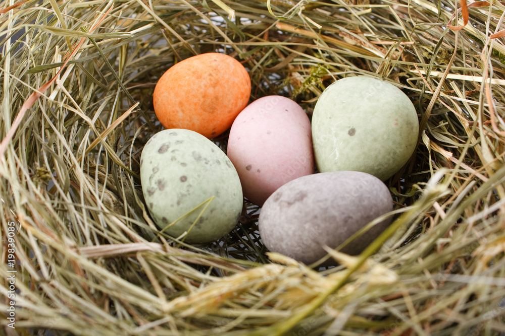 chocolate eggs in the nest. chocolate eggs in the nest.