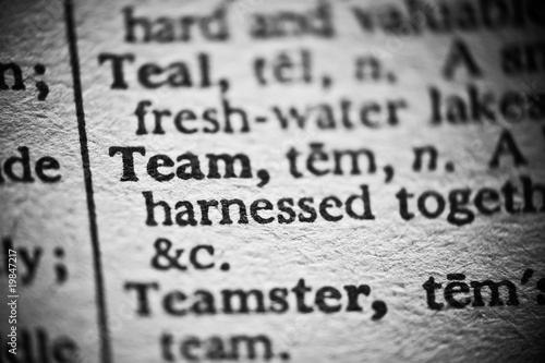Definition of Team