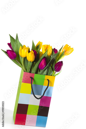 Frühling