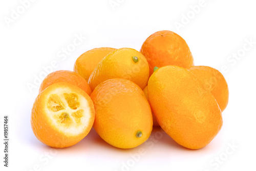 Kumquat 03
