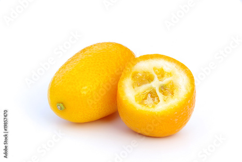 Kumquat 05