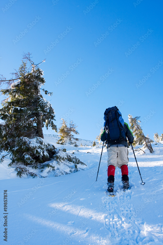 Hiker