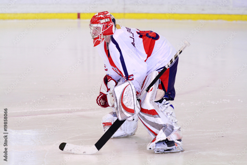 Naklejka premium hockey goalie