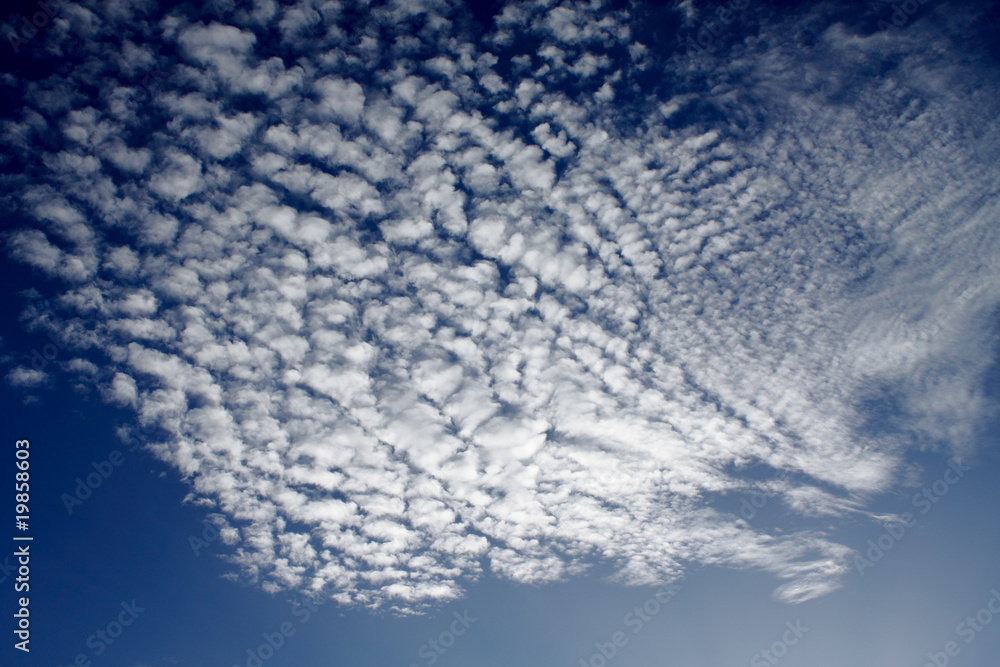 Fototapeta premium Clouds