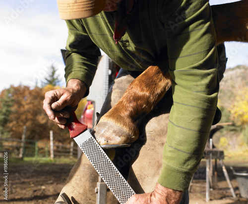 Farrier Filing Horse Hoof