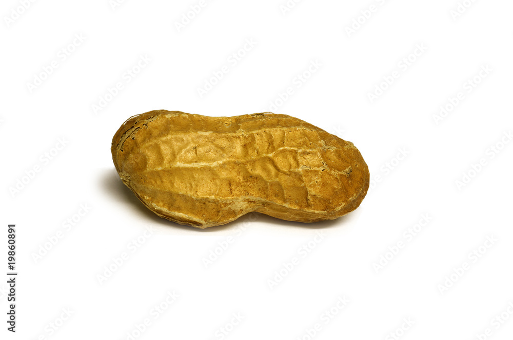 Peanut Peanut