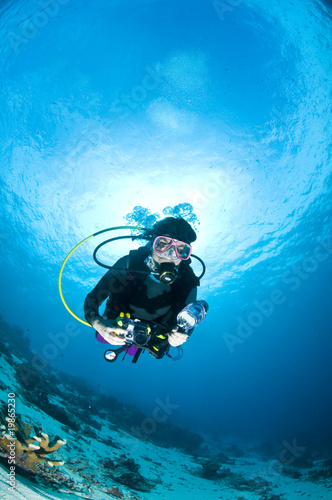 Plongeuse le long du récif, photo sous marine, Lembeh, IndonŽsie