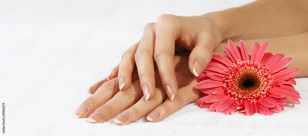 Hands with french manicure and pink flower Hands with french manicure and pink flower