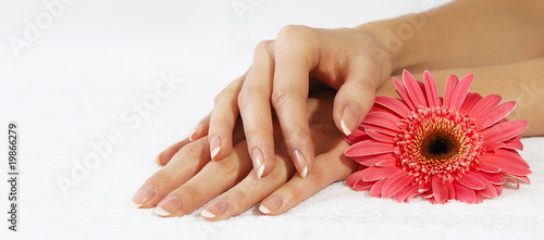 Hands with french manicure and pink flower