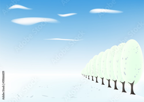 Winter landscape
