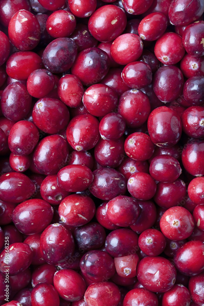 Cranberries full frame Cranberries full frame