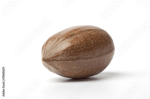 One whole pecan nut