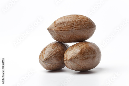 Three shiny pecan nuts on white background