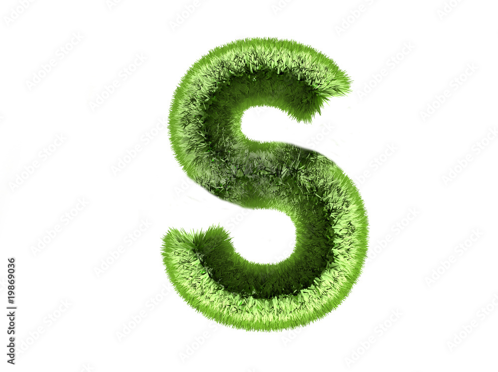 Naklejka premium Rasen S