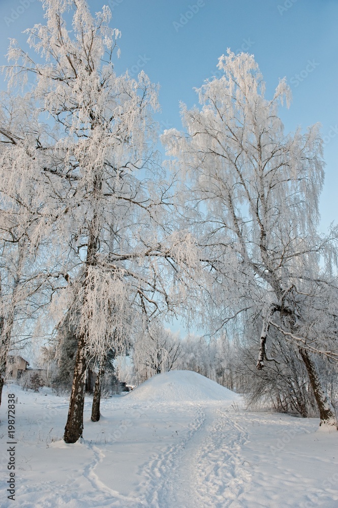 Winter landscape Winter landscape