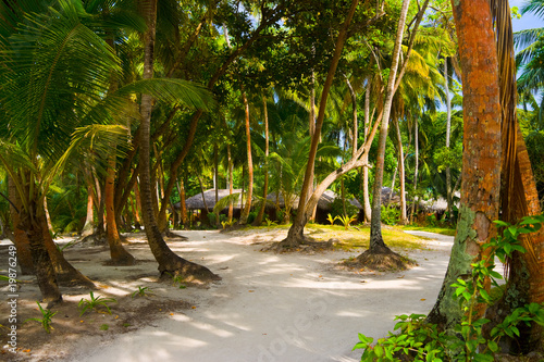 Bungalows on beach and sand pathway