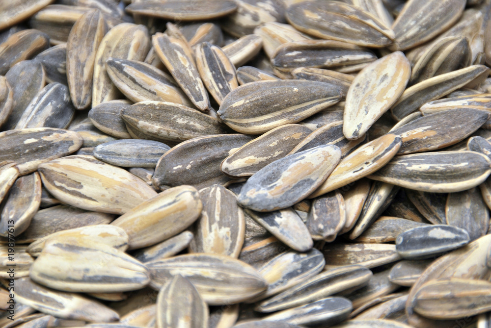 Sunflower seeds Sunflower seeds