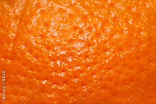 Skin of ripe fruit of orange.
