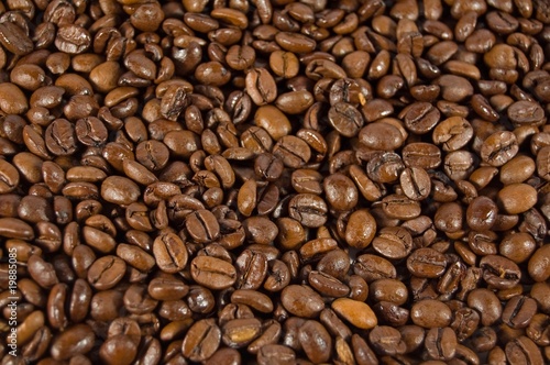 Palone ziarna kawy © aigielsk