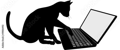 Kitty cat keyboard of laptop computer