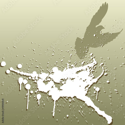 Bird splat