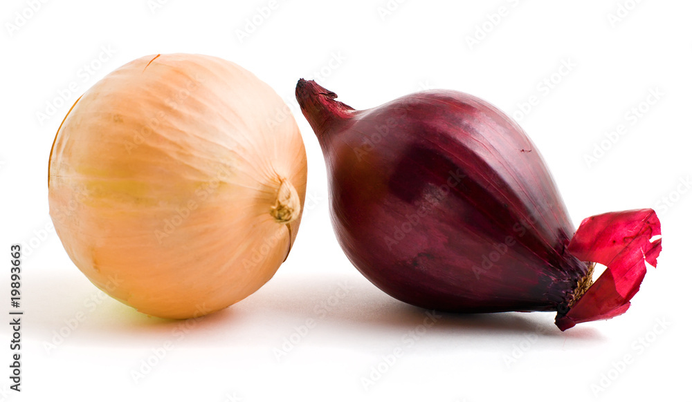 Fototapeta premium two bulbs of red and yellow onion