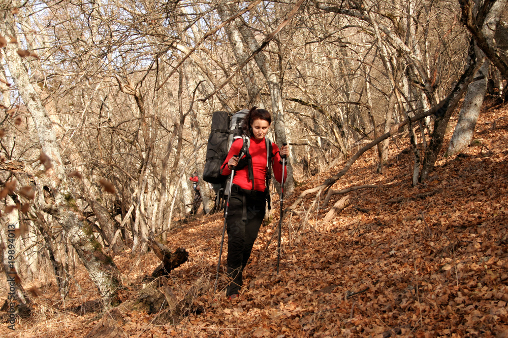 Naklejka premium Hikers in mountains