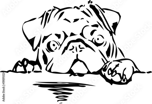 Pug - Abstract