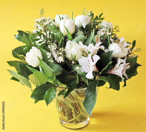 Fototapeta Naklejka Na Ścianę i Meble -  pli0849.jpg