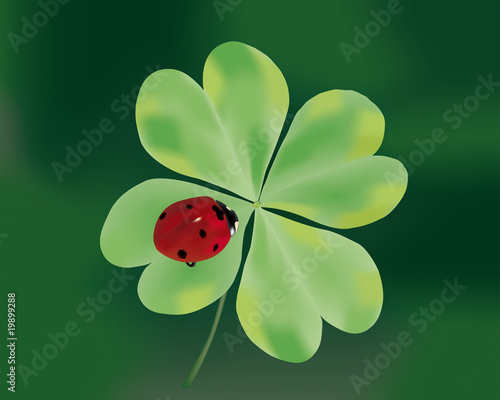 quadrifoglio con coccinella
